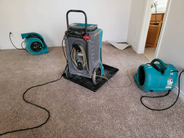Best Flood restoration services  in Wharton, NJ