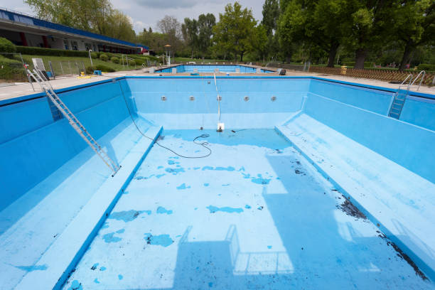 Best Mold removal after water damage  in Wharton, NJ