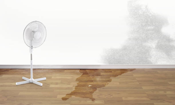 Water damage restoration experts in Wharton, NJ