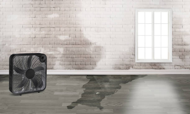 Trusted Wharton, NJ Water damage restoration Experts