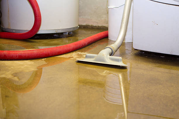 Best Water damage restoration near me  in Wharton, NJ