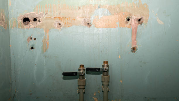Best Residential water damage restoration  in Wharton, NJ
