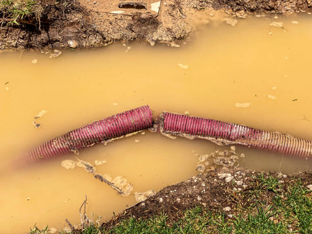 Best Professional water damage repair  in Wharton, NJ