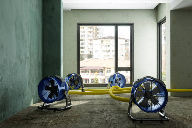 Best Sewage cleanup and water damage restoration  in Wharton, NJ