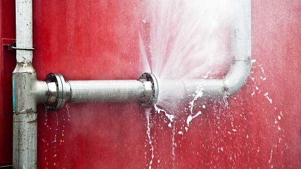Best Flood restoration services  in Wharton, NJ