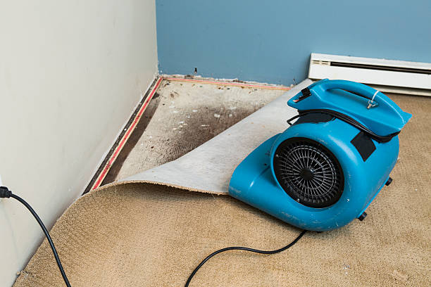 Best Water damage contractors near me  in Wharton, NJ